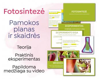 Fotosintezė - pamokos planas ir skaidrės