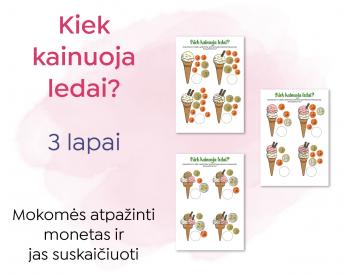 Euro monetų atpažinimas ir skaičiavimas