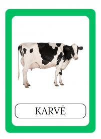 Naminių gyvūnų kortelės
