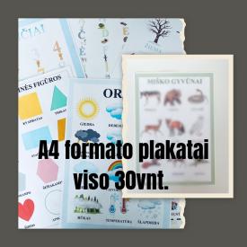 Įvairūs A4 plakatai