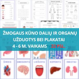 ŽMOGAUS KŪNO DALYS IR ORGANAI UŽDUOČIŲ IR PLAKATŲ RINKINYS 4-6M. VAIKAMS