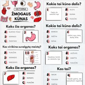 VIKTORINA - ŽMOGAUS KŪNAS 4-6M. VAIKAMS