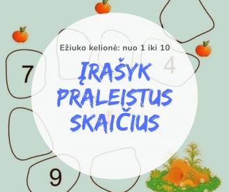 Įrašyk praleistus skaičius