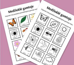 Medžioklė gamtoje