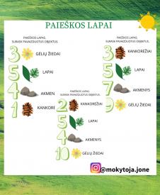 PAIEŠKOS LAPAI 
